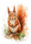Red Squirrel in Autumn Watercolour colourful animal watercolour art print by towelme