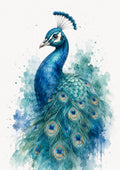 Peacock in Teal Watercolour Splendour colourful animal watercolour art print by towelme