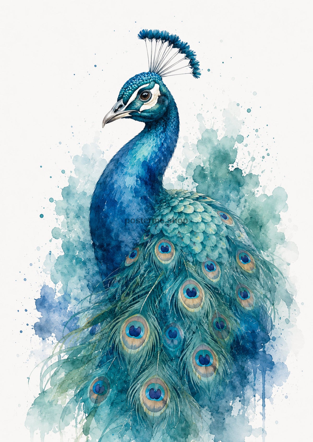 Peacock in Teal Watercolour Splendour colourful animal watercolour art print by towelme