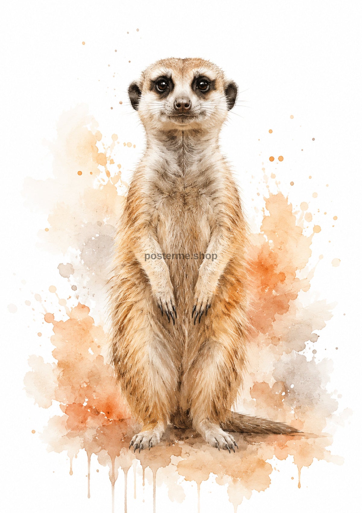Alert Meerkat in Desert Watercolour colourful animal watercolour art print by towelme
