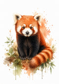 Red Panda in Forest Watercolour colourful animal watercolour art print by towelme