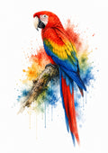 Scarlet Macaw in Tropical Watercolour colourful animal watercolour art print by towelme