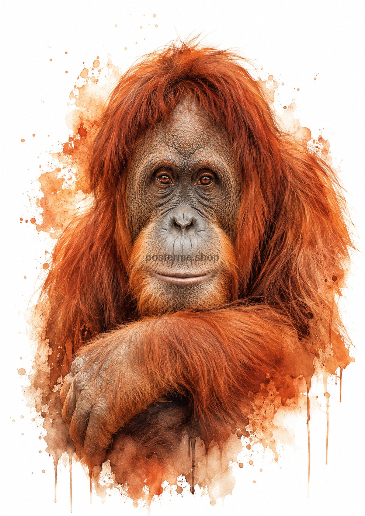 Serene Orangutan in Russet Watercolour colourful animal watercolour art print by towelme