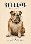British Bulldog: A Timeless Icon classic British icon art print by towelme