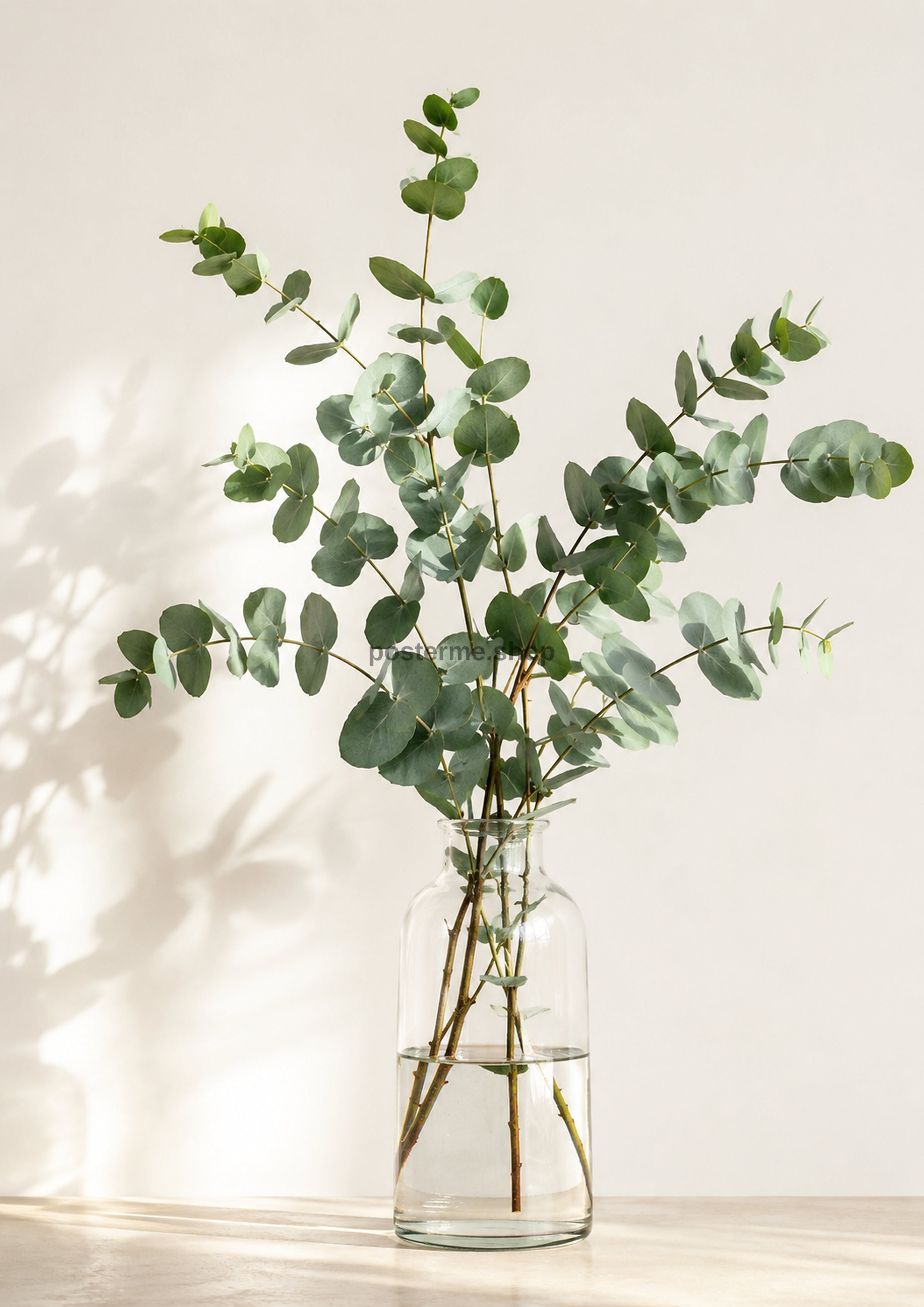 Gentle Eucalyptus In Natural Light botanical art print by towelme