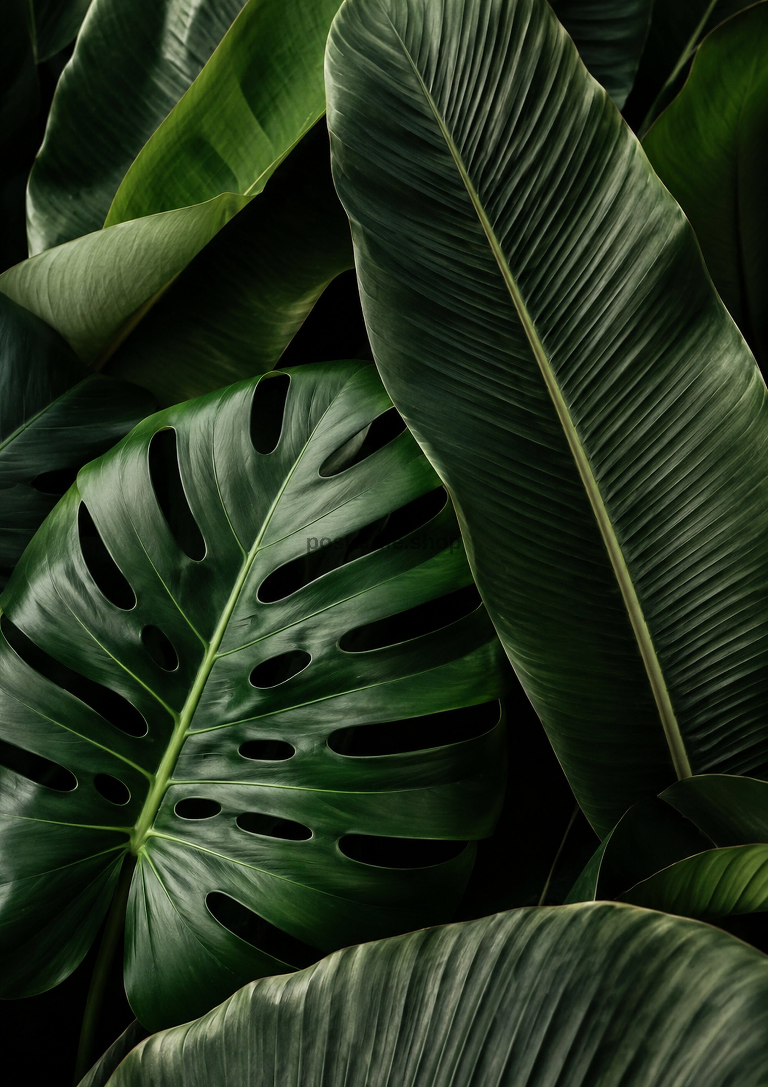 Tropical Foliage In Rich Greens botanical art print by towelme