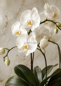 Ivory Orchid Cascade on Warm Marble botanical wall print by towelme