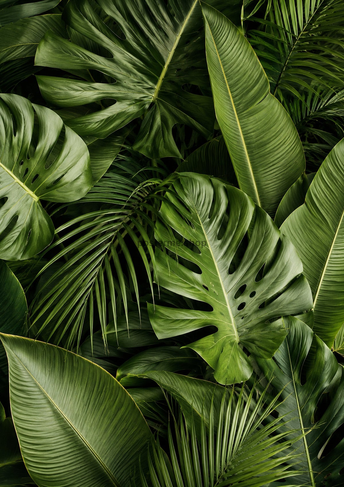 Emerald Monstera and Palm Canopy botanical wall print by towelme