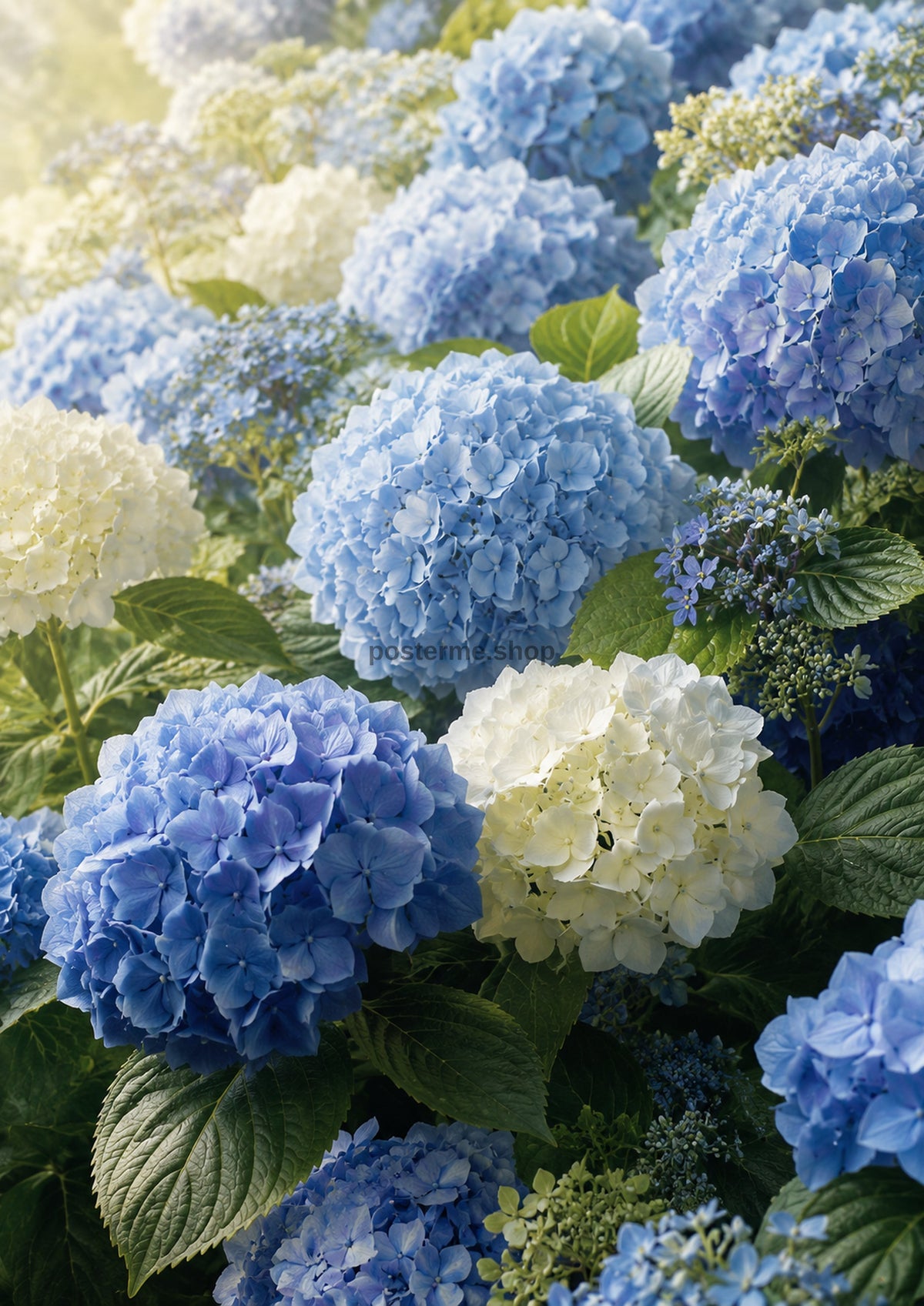 Powder Blue Hydrangea Garden Glow botanical wall print by towelme