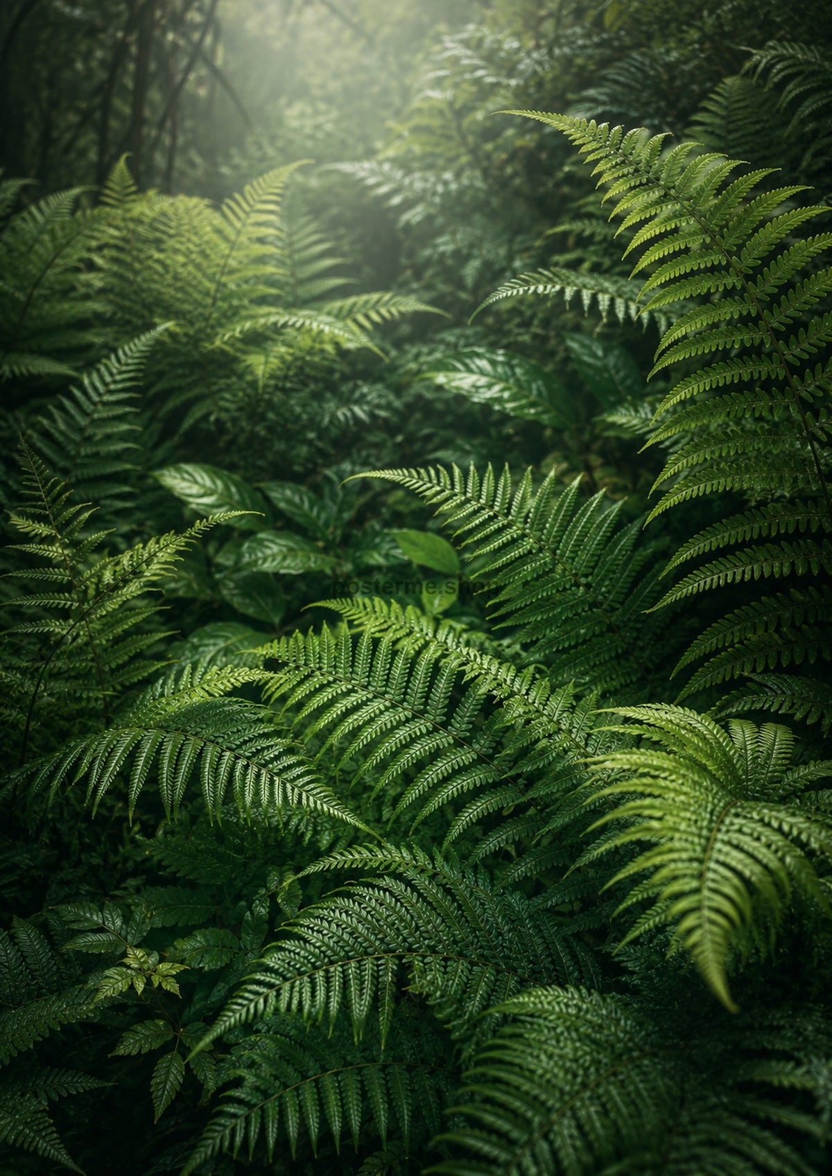 Fern Forest in Morning Mist botanical wall print by towelme