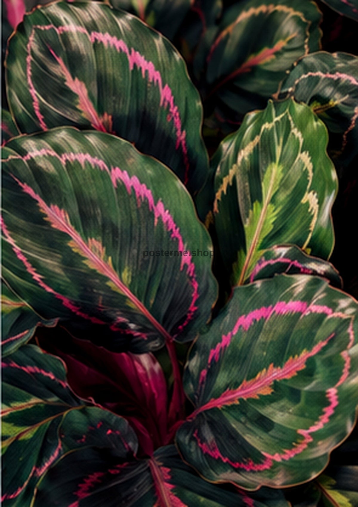 Velvet Calathea Leaves in Jewel Tones botanical wall print by towelme