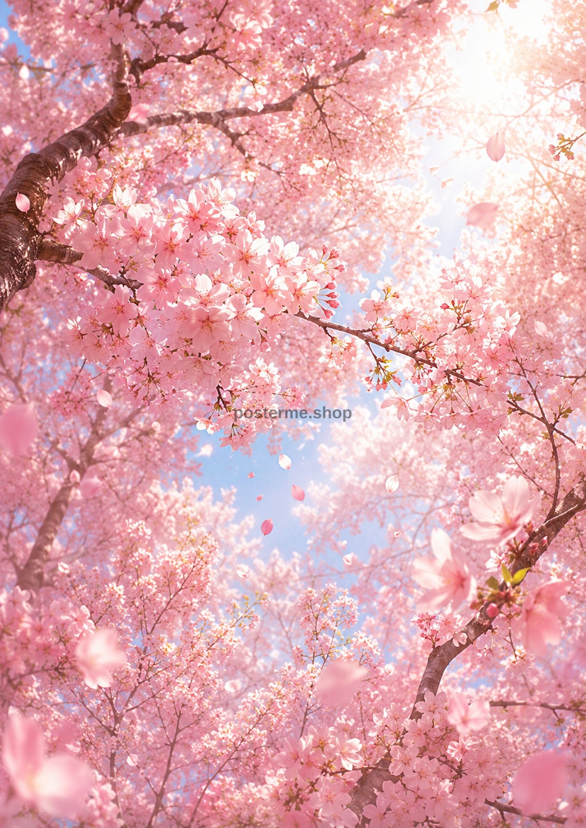 Sunlit Sakura Canopy in Powder Pink botanical wall print by towelme