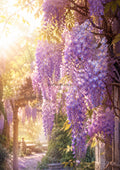 Lavender Wisteria Walk at Golden Hour botanical wall print by towelme
