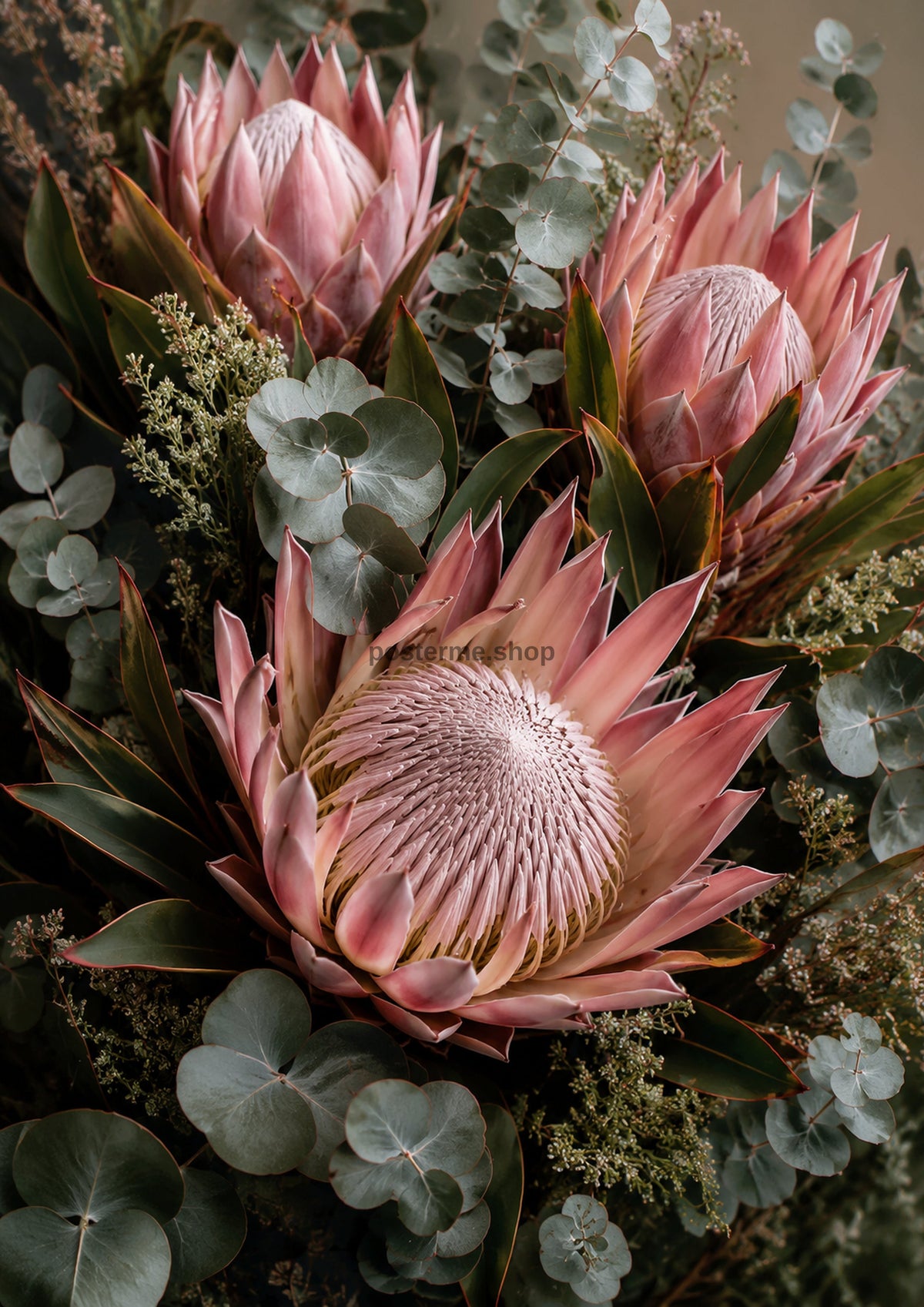 Blush Protea and Eucalyptus Still Life botanical wall print by towelme