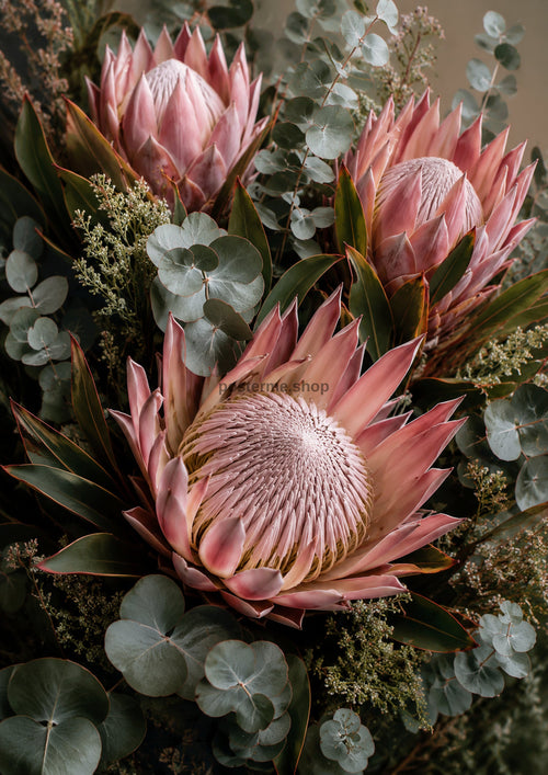 Blush Protea and Eucalyptus Still Life botanical wall print by towelme