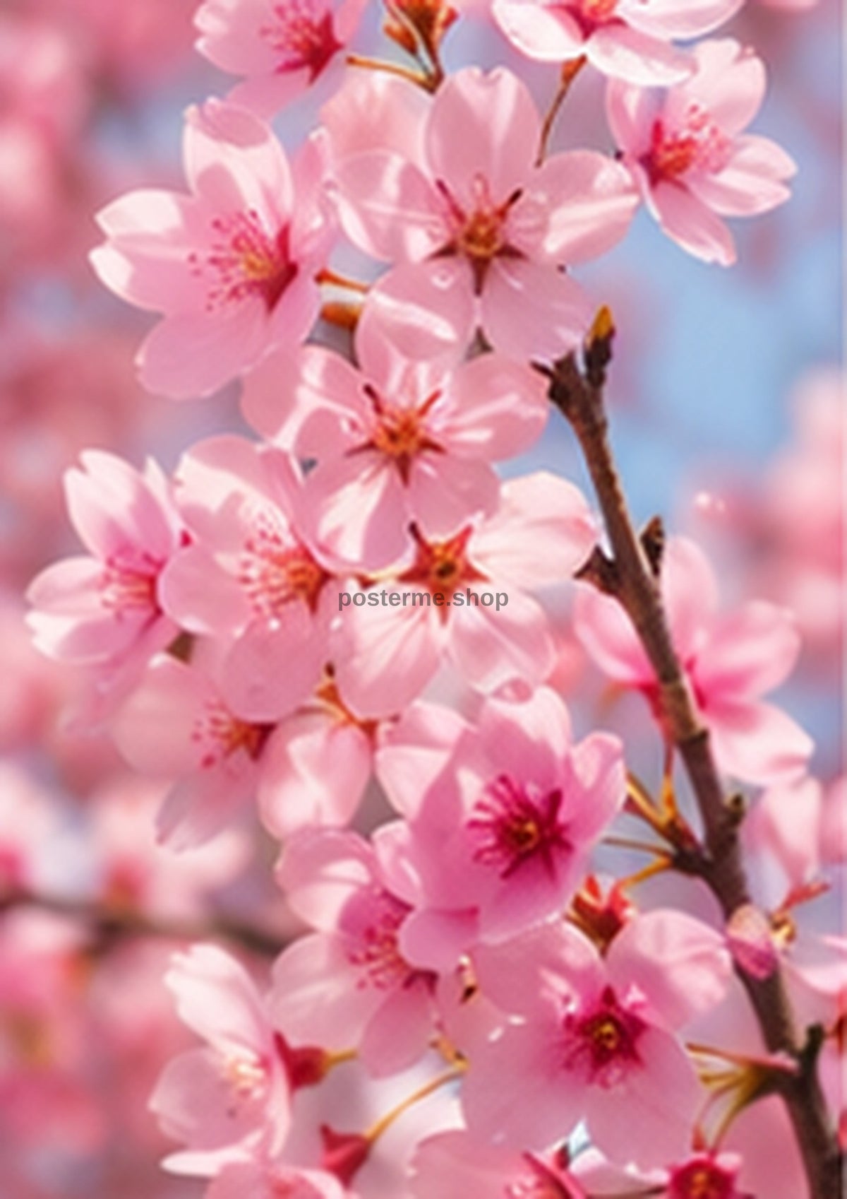 Cherry Blossom Branches in Airy Spring Blue botanical wall print by towelme