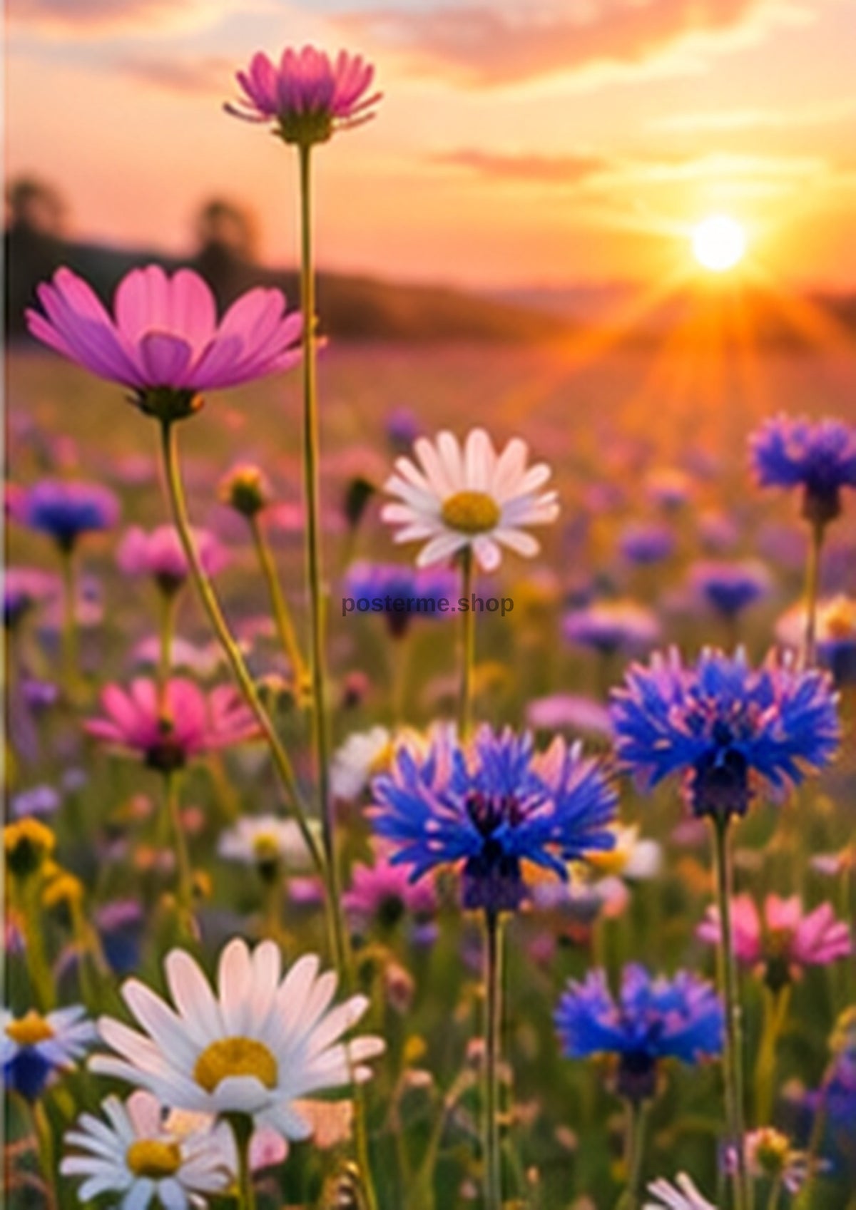 Meadow Flowers at a Painted Sunset botanical wall print by towelme