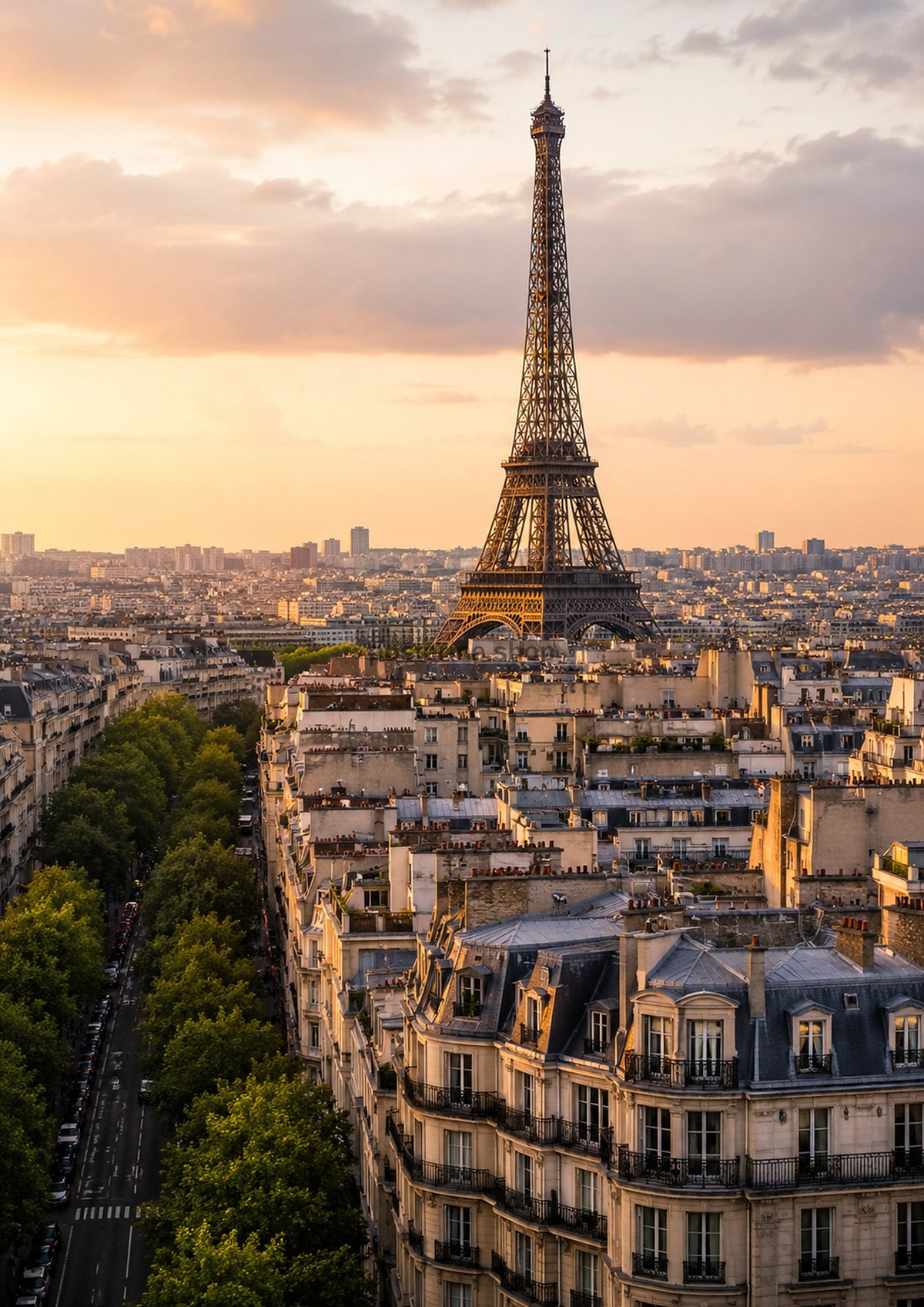 Golden Hour View Of Paris Rooftops city wall art print by towelme