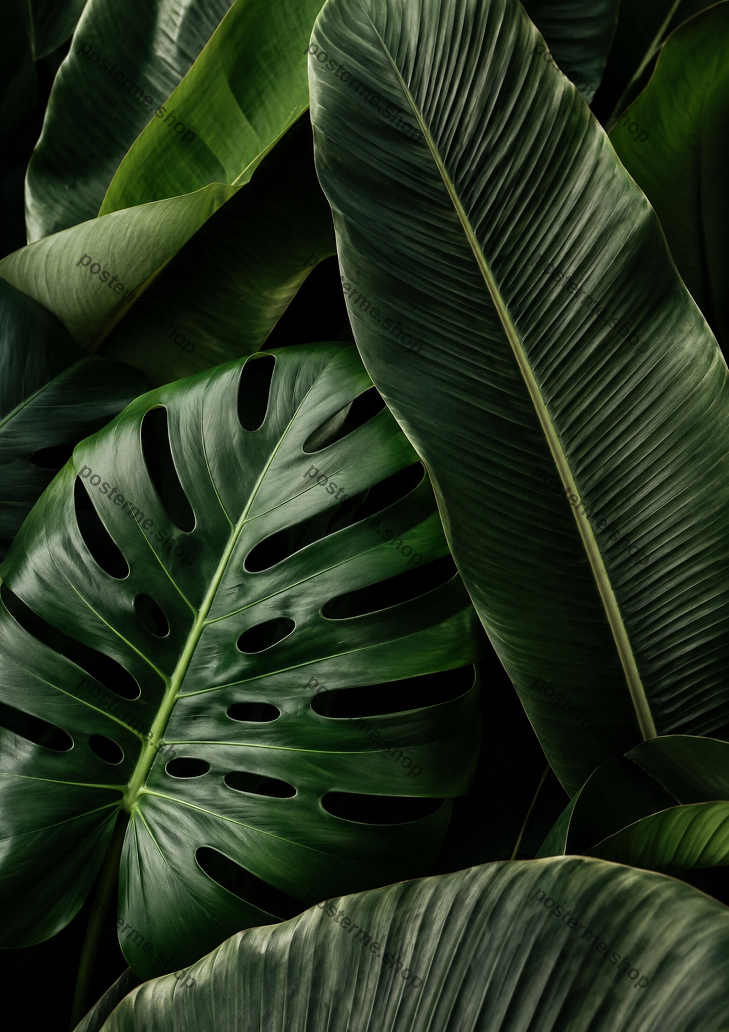 Tropical Foliage In Rich Greens A4 botanical art print by towelme